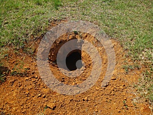 HOLE AND TUNNEL IN THE EARTH DUG BY AN ANIMAL