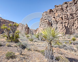 Hole-in-the-Wall, Banshee Canyon, Mojave National Preserve, CA