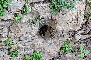 Hole in the wall of limestone