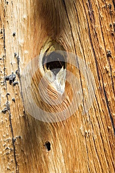 Hole in wood