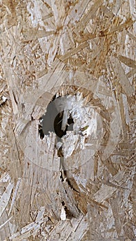 hole in the wood due to vandalism