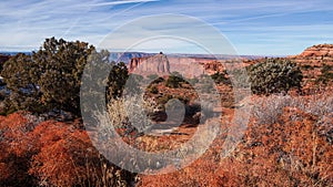 Holeman Spring Canyon Overlook at Canyonlands National Park, Utah, USA