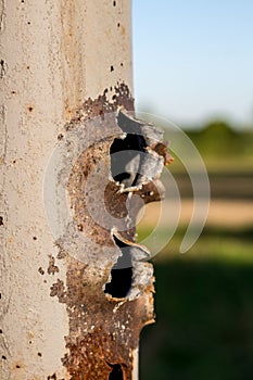 Holes from gunshots on a metal pipe