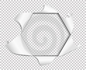 Holes torn in paper on transparent background. Hexagon. Vector