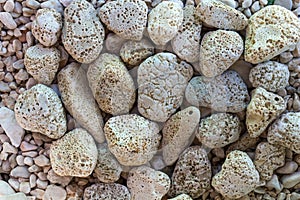 Holey stones on a beach