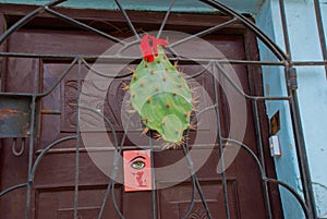 HOLGUIN, CUBA: Entrance door of the house with a tied cactus and a sign with a picture of the eye and tongue.