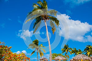Holguin, Cuba, Playa Esmeralda. Palm trees and umbrellas on blue sky background.