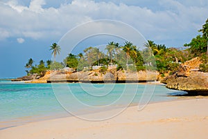   Spiaggia caraibico il mare bellissimo Acqua un gentile sabbia un Palma alberi. Paradiso paesi 