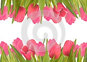 Holiday background with pink beautiful flowers.