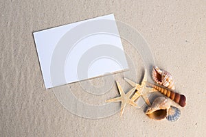 Holiday beach concept with shells