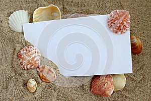 Holiday beach concept with shells, sea stars and an blank postcard