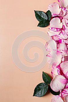 Holiday border frame made from light pink rose petals on a side of a pastel background