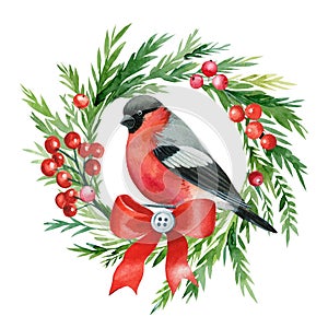 Holiday card of bullfinch, Christmas wreath on white background, watercolor drawings