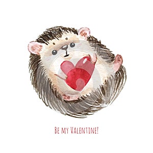Holiday card with hedgehog, red heart and text I love you for St. Valentine day. White background with cute watercolor
