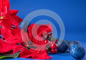 Holiday card - red flower poinsettia, fir cone, Christmas decorations on blue background. Close up. Festive handmade gift