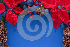 Holiday card - red flower poinsettia, fir cone, Christmas decorations on blue background. Flat lay, top view