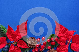 Holiday card - red flower poinsettia, fir cone, Christmas decorations on blue background. Flat lay, top view