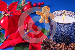 Holiday card - red flower poinsettia,gingerbread cookie man burning scented candle in blue glass holder on blue background.