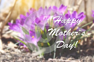 Holiday card with text Happy Mother`s Day. Holiday background with spring flowers.