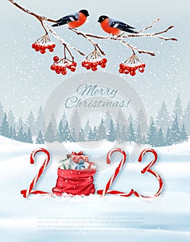 Holiday Christmas background with red bullfinches on branch of a christmas tree and a red sack