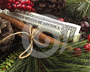 Holiday Christmas One Dollar Bill