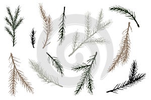 Holiday clip art set with Christmas pine tree hand drawn spruce in sketch style