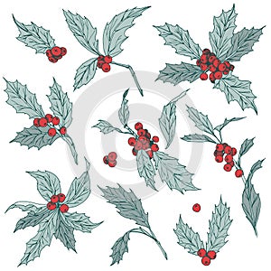 Holiday clip art set with holly Christmas plant hand drawn spruce in sketch style