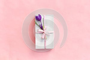 Holiday composition, white gift box with pink ribbon and bow and flowers violet crocuses on pink paper background.