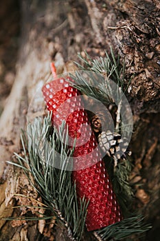 holiday concept candle on an old log in the forest