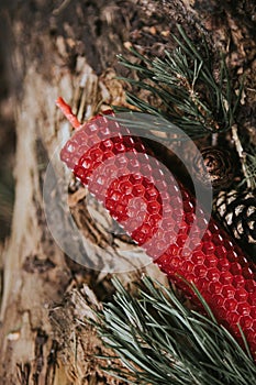 holiday concept candle on an old log in the forest