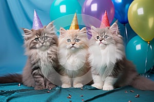 Holiday concept. A group of cute cats having fun at the party