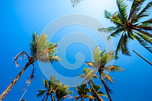 Holiday concept image with Scenery near beach  and vacation view in Terengganu.