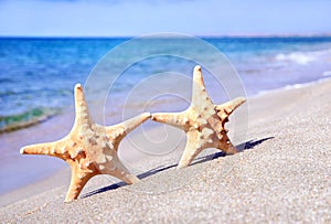 Holiday concept - two sea-stars walking on sand beach against wa