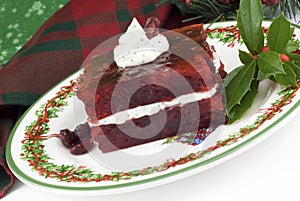 Holiday Cranberry Congealed Salad