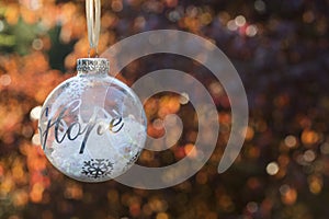 Holiday decor Christmas ornament with the word hope