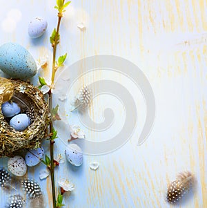 Holiday Easter banner or greeting card background; Spring tree flowers and Easter eggs in birds nest on sunny light  wooden