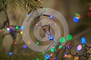 Holiday electric colorful garlands on pine branch.Christmas tree decoration.