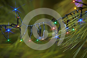 Holiday electric colorful garlands on pine branch.Christmas tree decoration.