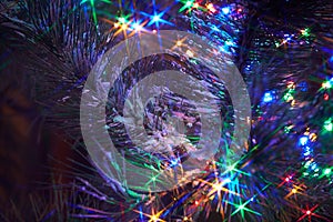 Holiday electric colorful garlands on pine branch.Christmas tree decoration.