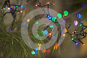 Holiday electric colorful garlands on pine branch.Christmas tree decoration.