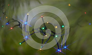 Holiday electric colorful garlands on pine branch.Christmas tree decoration.