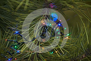 Holiday electric colorful garlands on pine branch.Christmas tree decoration.