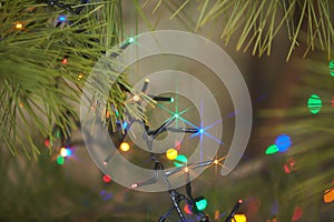 Holiday electric colorful garlands on pine branch.Christmas tree decoration.