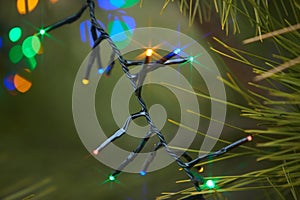 Holiday electric colorful garlands on pine branch.Christmas tree decoration.