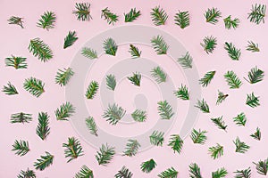 Holiday Festive Flat Lay Background with Small Green Branches Fir Tree on Pink Background Top View Horizontal Pattern