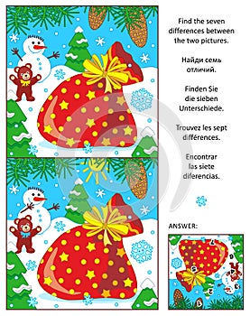 Holiday find the differences puzzle with Santa`s sack