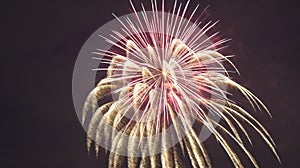 Holiday fireworks during a fourth of july celebration