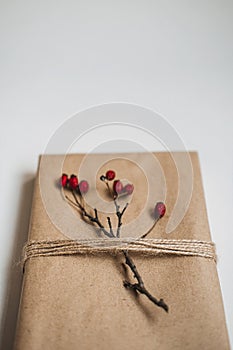 Holiday Gift Ideas. Sustainable Christmas, zero waste gifts, natural xmas decorations. Wrapping Christmas gifts in