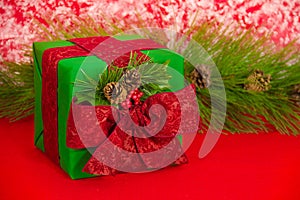 Holiday Gift with Pine Cones