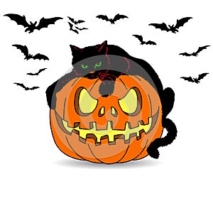 Holiday Halloween. Black cat lies on a pumpkin, cartoon